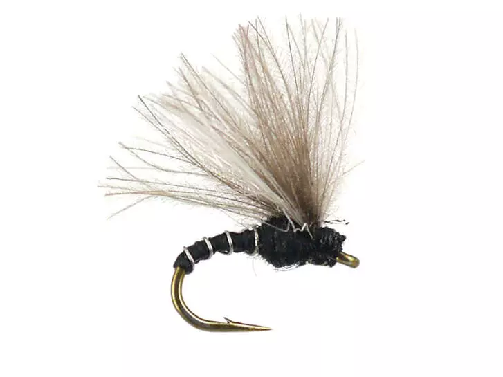 Caenis Emerger 02