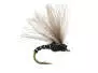 Caenis Emerger 02
