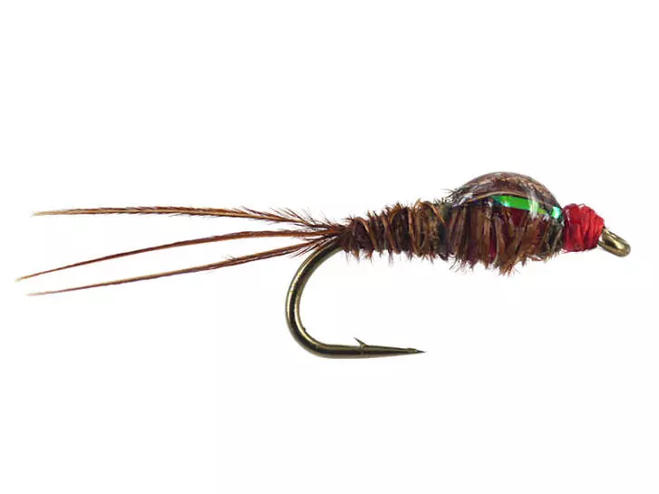 Pheasant Tail Nymph