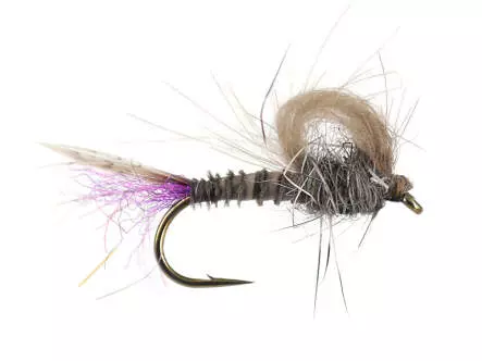 Olive Straight Loopwing Emerger - Iron Blue