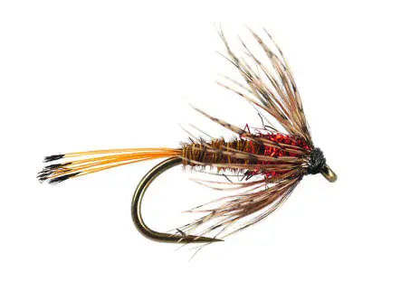 H-Flimp 01 - Black-Brown