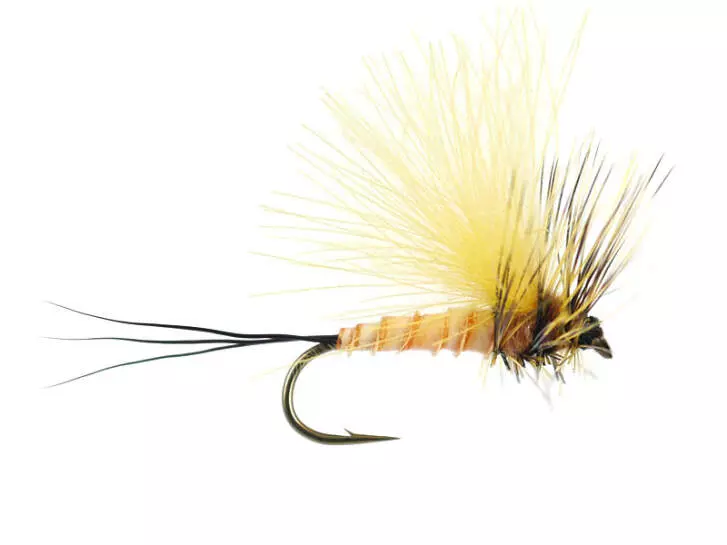 H-Dun Cut - Yellow-Yellowish