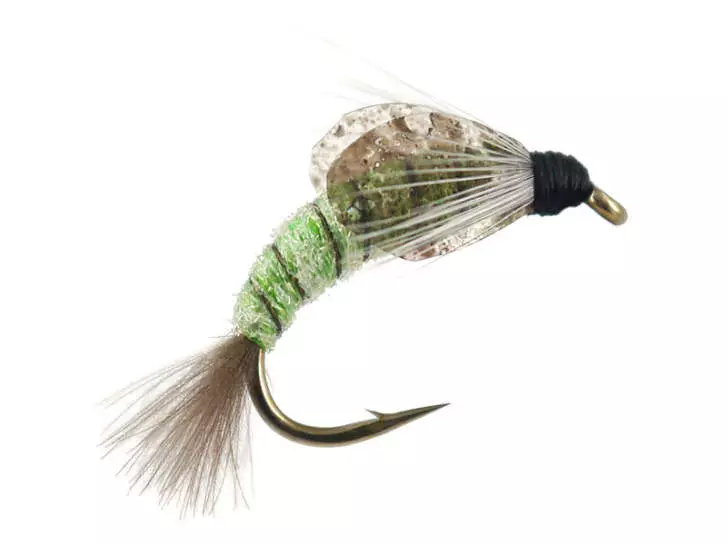 TG Caddis Pupa Color Factor - Verde Fluo