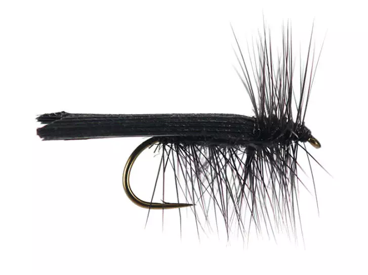 S4 Black Sedge - Black