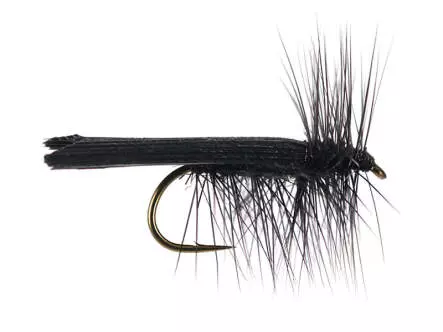 S4 Black Sedge - Black