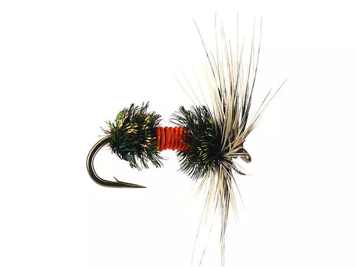 G4 Grayling Fancy