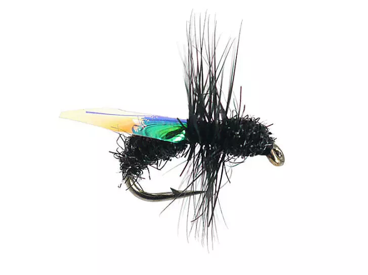 G7 Black Ant 01