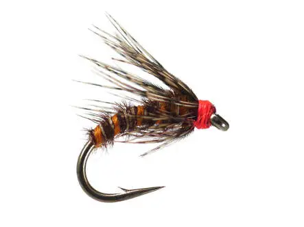 Bwo Spider 18