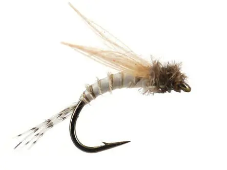 Bwo Emerger 01 16