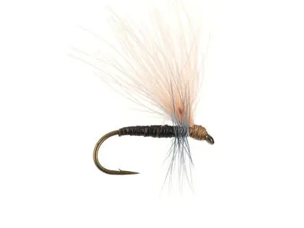 Olive Quill CDC - Tan 16