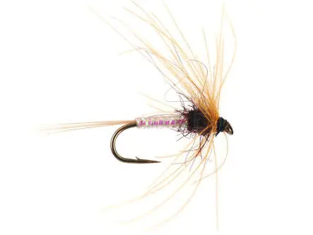 Olive Spinner - Dark Brown 18