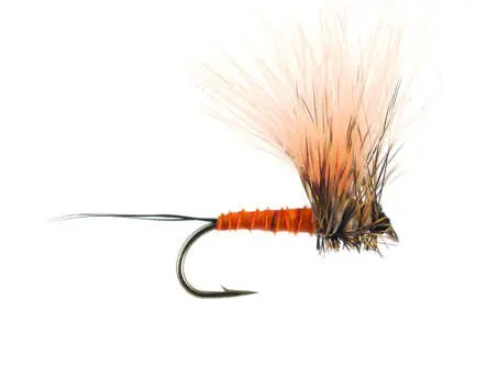 H-Dun Cut - Brown-Yellowish 12