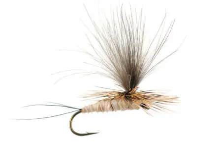 H-Dun Parachute - Tan-Yellowish 12
