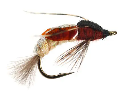 Caddis Emerger - Amber 12