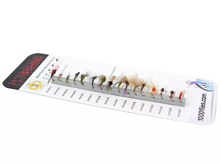 Set Baetidae (Olive - Medium Olive) - S - 16 mouches