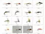 Set Baetidae (Olive - Medium Olive) - S - 16 mouches