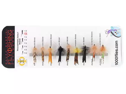 Set Trichoptera (Adult Sedge) - L - 9 mouches