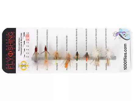 Set Trichoptera (Transition & Skating) - M - 8 mouches