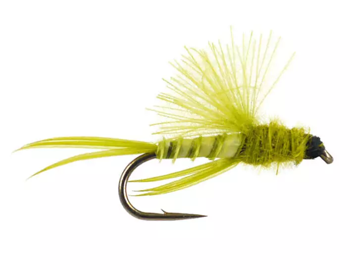 CDC Little Surface Nimph - Medium Olive