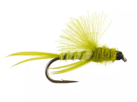 CDC Little Surface Nimph - Medium Olive
