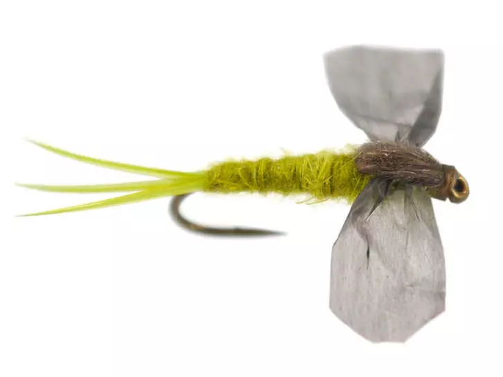 CDC Cripple - Pale Olive