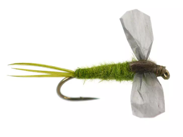 CDC Cripple - Medium Olive