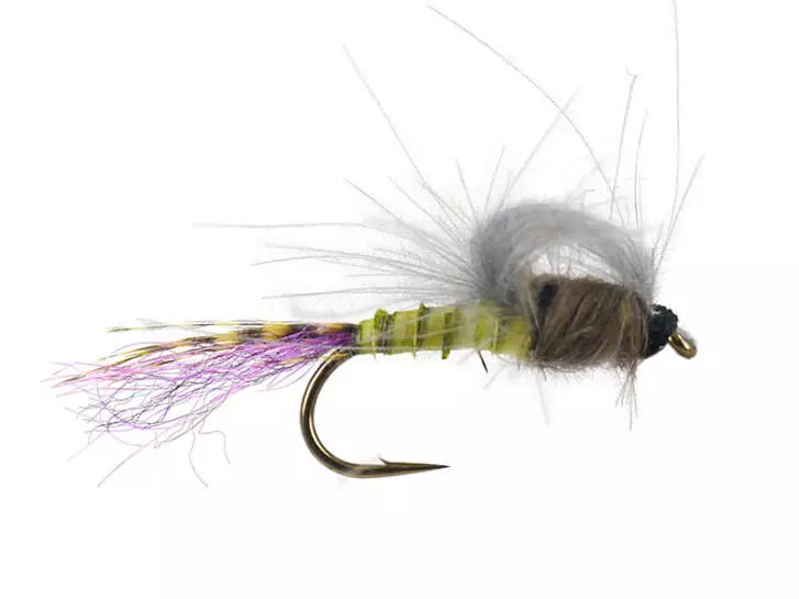 CDC Straight Loopwing Emerger - Medium Olive