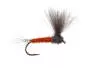 CDC Upright - Rusty Ecdyo