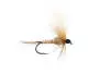CDC Drift Dun (Olive Upright) - Tan Yellowish