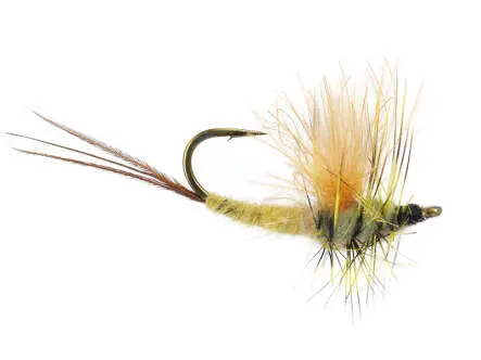 CDC Reverse - May Fly