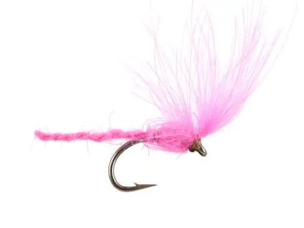 CDC Nyakinama - Pink