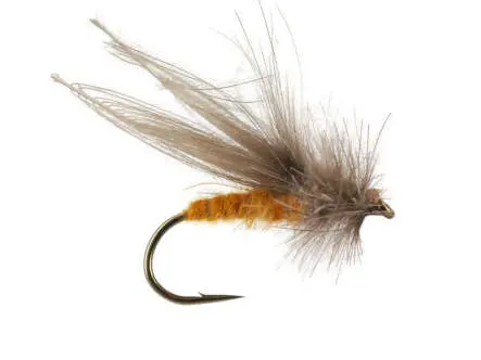 CDC Medium Stone Fly