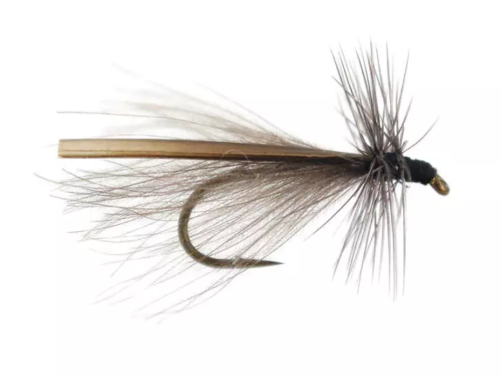 CDC Needle Fly