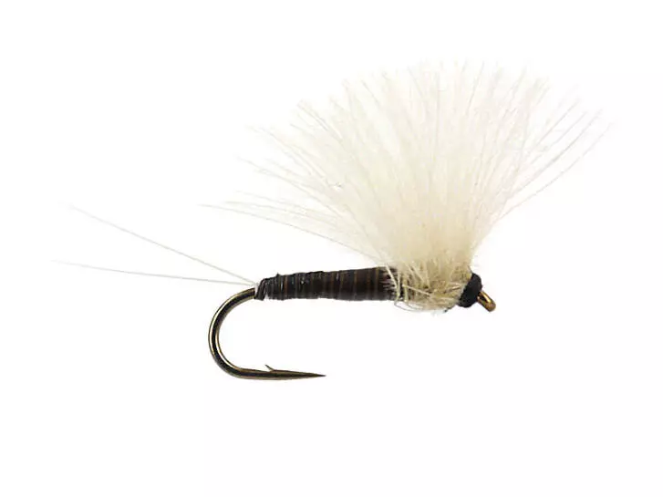 Half CDC (Olive Dun) - Tan