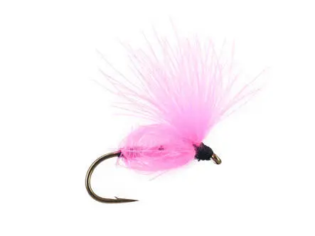CDC Arpo - Pink 18