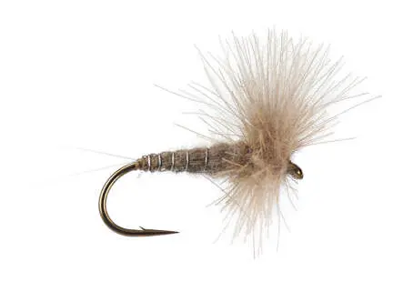 CDC Blue Dun 16