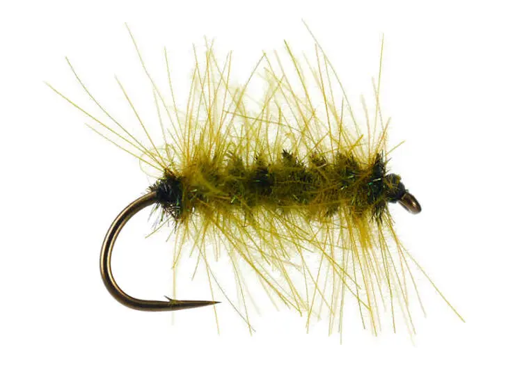 CDC Palmer 14