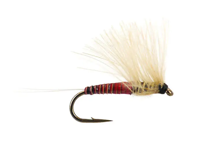 Half CDC (Olive Dun) - Orange 18