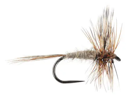 Adams BL 16