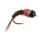 TG Pink Collar Nymph BL 14