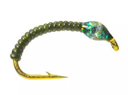 Gambe Corégone ALLROUND