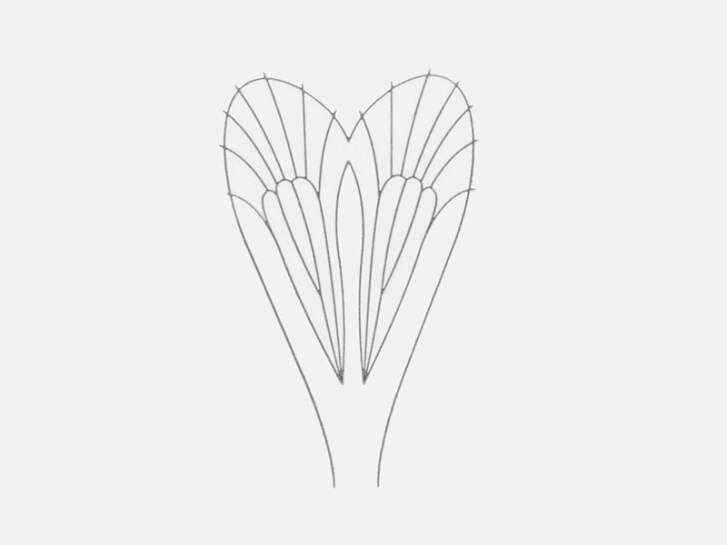 Film plastique pour ailes Mayflies - taille C1