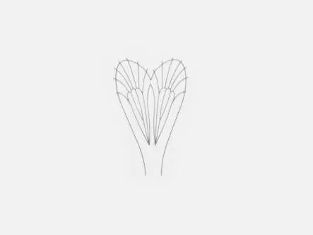 Film plastique pour ailes Caddis - taille C3