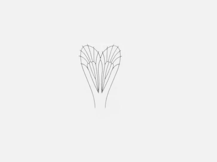 Film plastique pour ailes Mayflies - taille C4