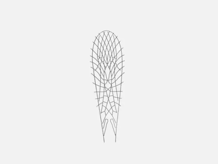 Film plastique pour ailes Stoneflies - taille A2