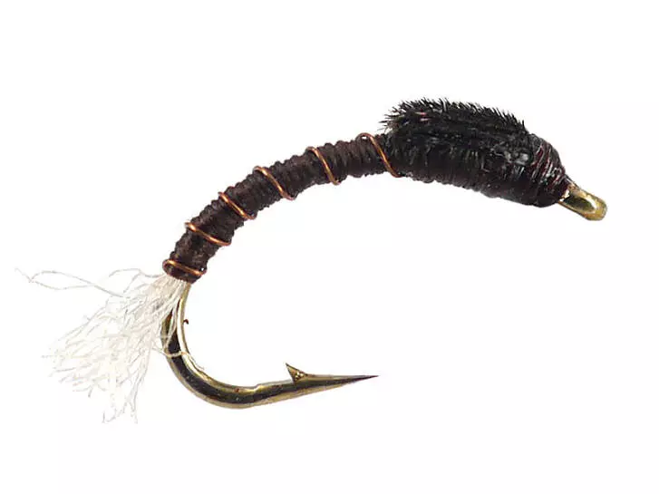 Toms Brown Buzzer