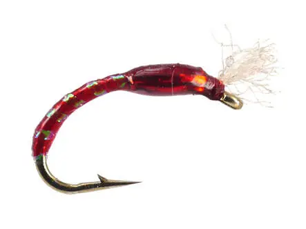 Ginos Red Gold Holo Buzzer 14