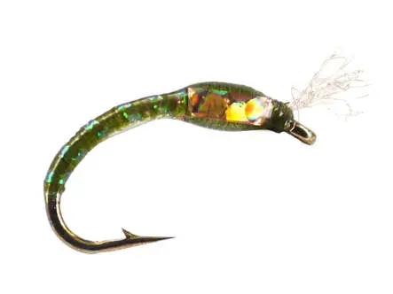 Ginos Olive Gold Holo Buzzer 14