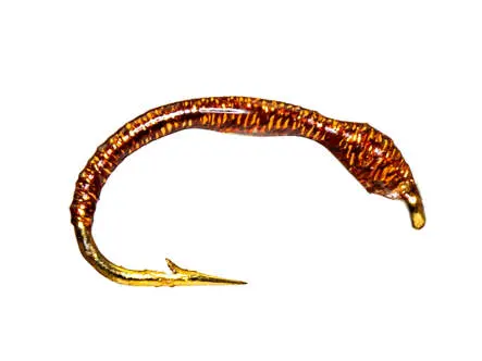 Gambe Corégone IRIDIDESCENT