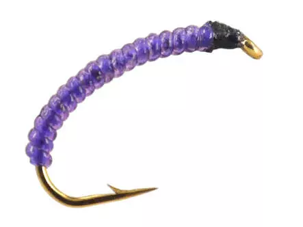 Gambe Corégone RIB UNIVERSAL